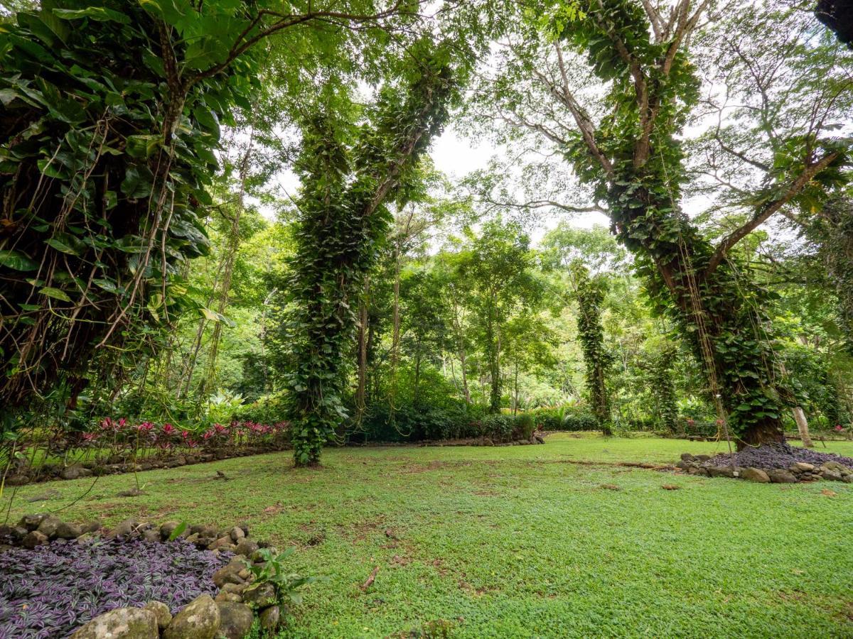 Villa Lapas Jungle Village Tárcoles 외부 사진