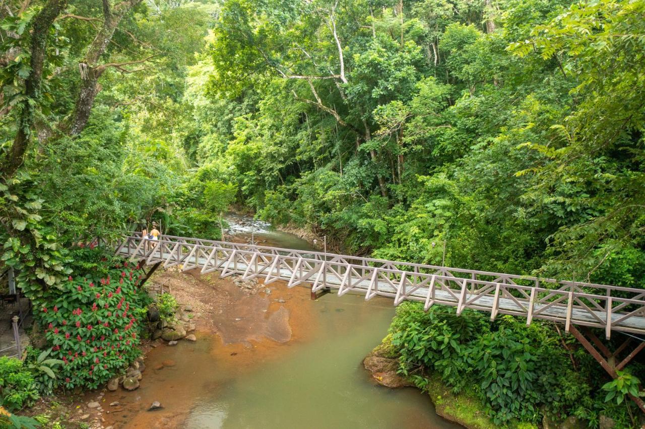 Villa Lapas Jungle Village Tárcoles 외부 사진
