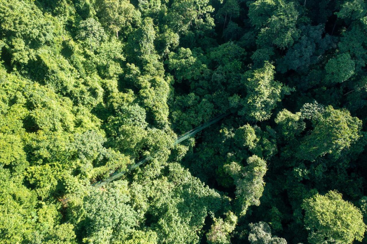 Villa Lapas Jungle Village Tárcoles 외부 사진