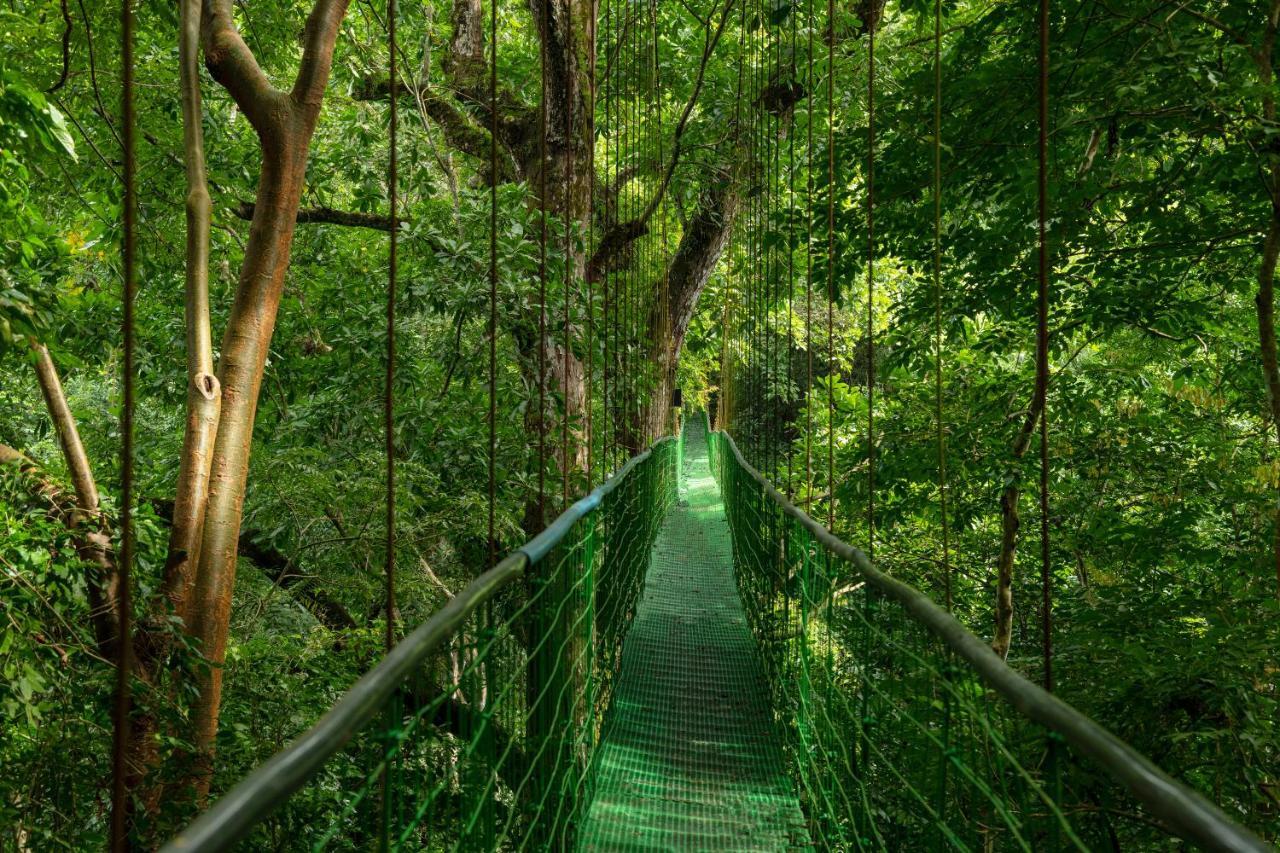 Villa Lapas Jungle Village Tárcoles 외부 사진