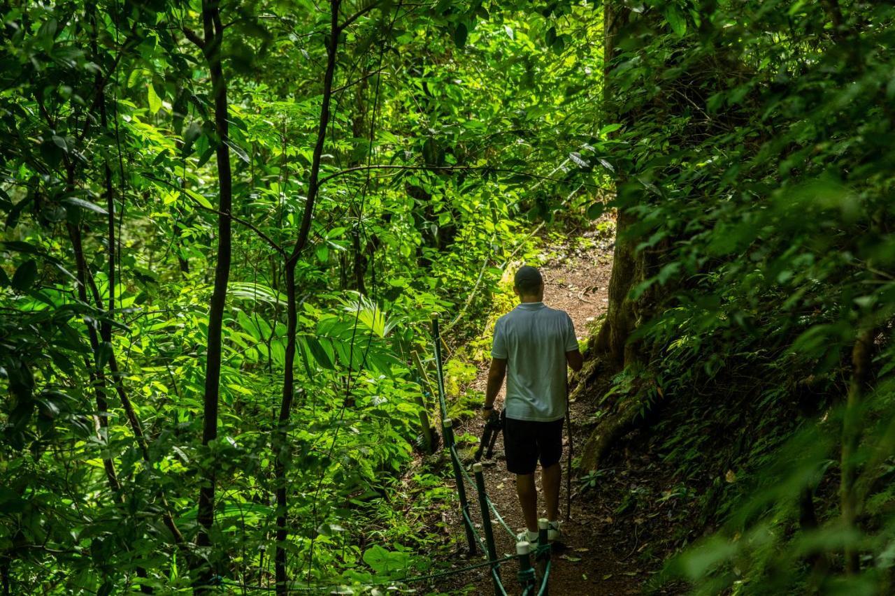 Villa Lapas Jungle Village Tárcoles 외부 사진